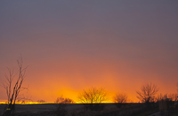 Nebraska Sunset